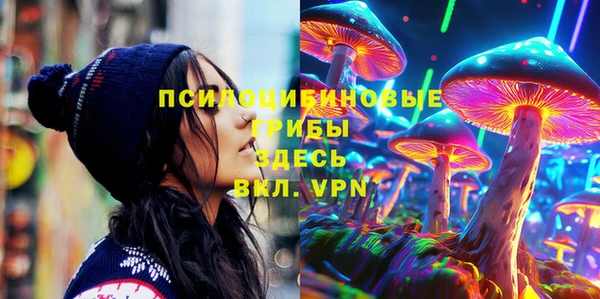 ECSTASY Балахна