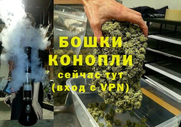 мет Лагань