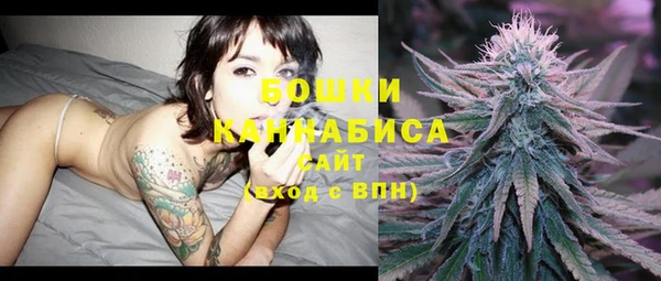 стафф Горняк